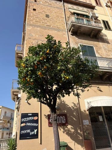 Erasmus pályázat - Olaszország - Kossuth